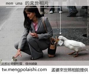 mem uma 來世的未來相片