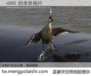 nOVO 來世的未來相片