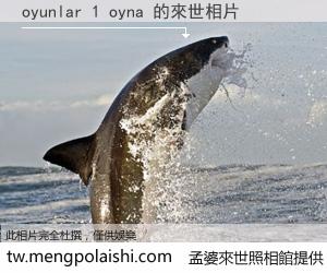 oyunlar 1 oyna 來世的未來相片