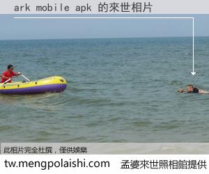 ark mobile apk 來世的未來相片