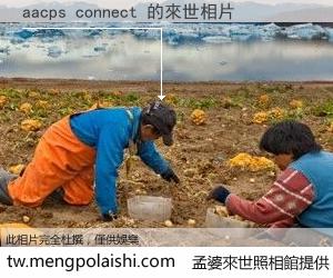 aacps connect 來世的未來相片