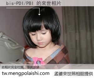 bis-PDI/PBI 來世的未來相片