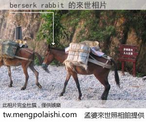 berserk rabbit 來世的未來相片