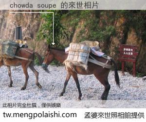 chowda soupe 來世的未來相片
