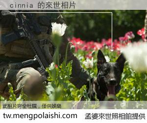 cinnia 來世的未來相片