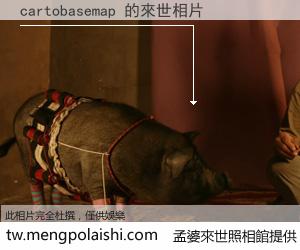 cartobasemap 來世的未來相片