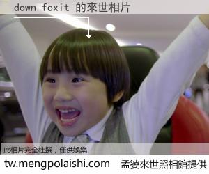 down foxit 來世的未來相片