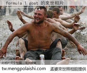 formula 1 goat 來世的未來相片