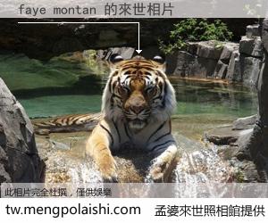 faye montan 來世的未來相片