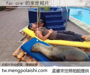 far cre 來世的未來相片