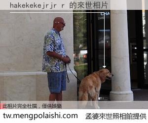 hakekekejrjr r 來世的未來相片