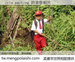 iris paiting 來世的未來相片