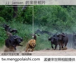 jj jansen 來世的未來相片