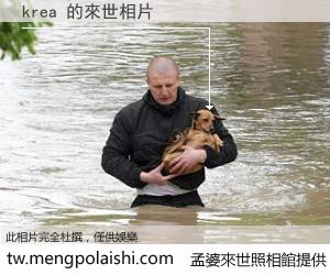 krea 來世的未來相片