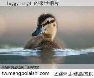 leggy smg4 來世的未來相片