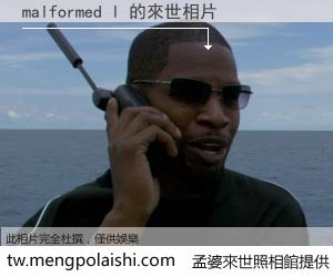 malformed l 來世的未來相片