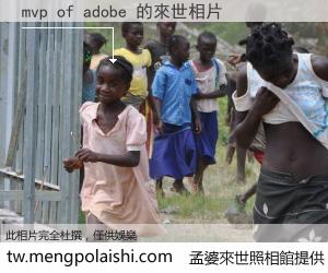 mvp of adobe 來世的未來相片