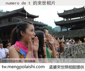 numero de t 來世的未來相片