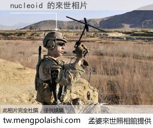 nucleoid 來世的未來相片