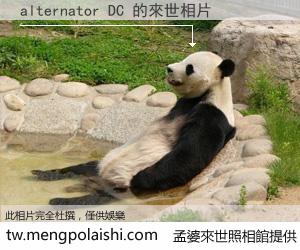 alternator DC 來世的未來相片