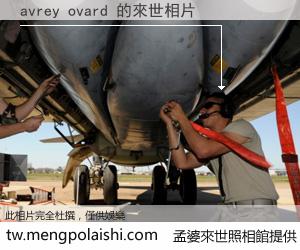 avrey ovard 來世的未來相片