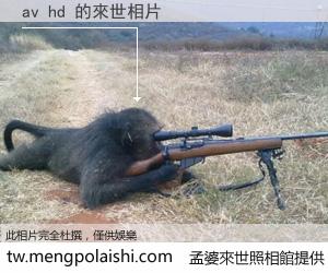 av hd 來世的未來相片