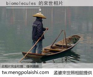 biomolecules 來世的未來相片