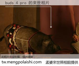 buds 4 pro 來世的未來相片