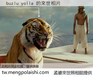 buzlu yolla 來世的未來相片