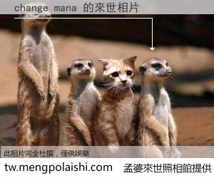 change mana 來世的未來相片
