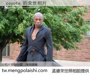 coyote 來世的未來相片