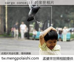 cargo concejil 來世的未來相片