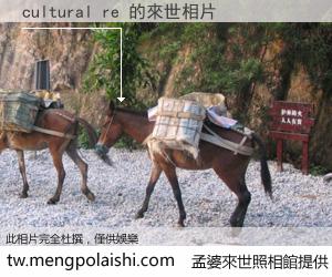 cultural re 來世的未來相片