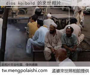 dios koibold 來世的未來相片