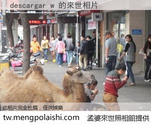 descargar w 來世的未來相片