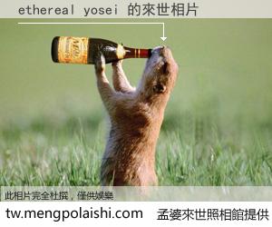 ethereal yosei 來世的未來相片