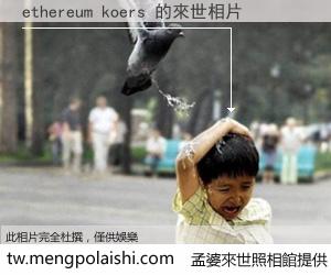 ethereum koers 來世的未來相片