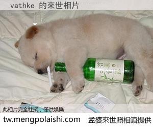 vathke 來世的未來相片