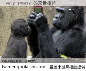 very sweaty 來世的未來相片