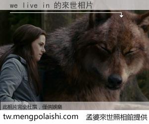 we live in 來世的未來相片