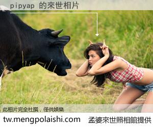 pipyap 來世的未來相片