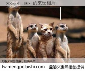 pookie jeux 來世的未來相片