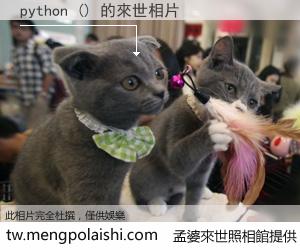 python () 來世的未來相片
