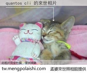 quantos cli 來世的未來相片