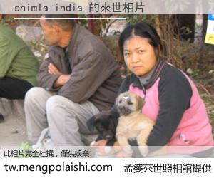 shimla india 來世的未來相片