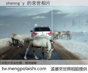 shenng'y 來世的未來相片