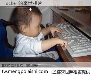 sche 來世的未來相片