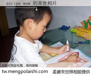 scripe wow 來世的未來相片