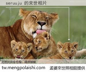 seruuju 來世的未來相片