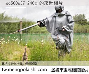 sq500s37 240g 來世的未來相片